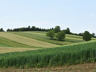 1. september, svetovni dan molitve za stvarstvo