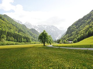 Prvi dan molitve za stvarstvo