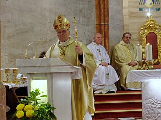 Slovesno leto v škofiji Celje