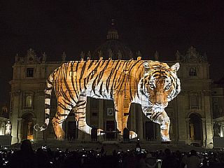Tiger, panda in opica na pročelju Petrove bazilike