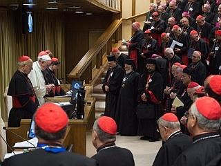8. aprila predstavitev Amoris Laetitia