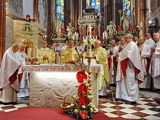 Nova škofija prinesla nov zagon