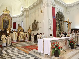 Sadovi koprske škofije