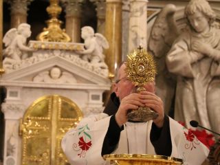 Relikvije sv. Frančiška na Brezjah
