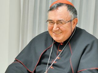 Ni druge rešitve kakor sožitje