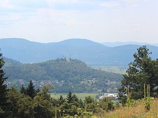 Narava si letos lahko oddahne