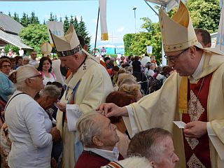 Na Brezjah 50. romanje bolnikov, invalidov in starejših