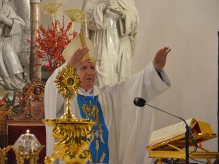 Sv. Frančišek pri brezjanski Mariji