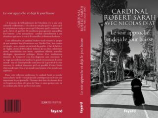 Kardinal Sarah: Cerkev se je znašla v hudi krizi