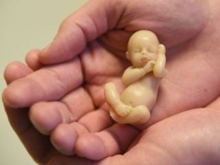 Guvernerka Alabame podpisala strogo zakonodajo o splavu