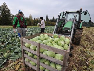 »Dragi kmetje, hvala vam, ker nas hranite«