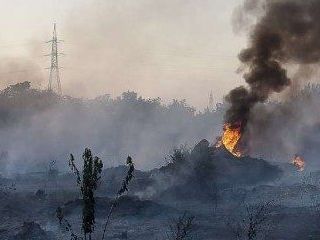 Vatikan načrtuje akcijsko leto o okolju in razvoju