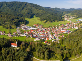Sodražica – 800 let, Ludvik Mihelič