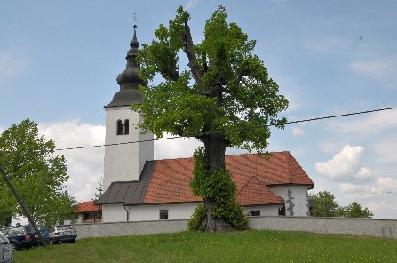 Gora pri Sodražici - Marija Snežna