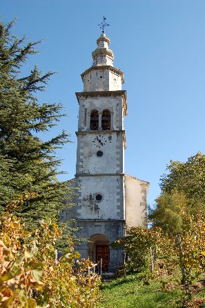 Podraga - sv. Mohor