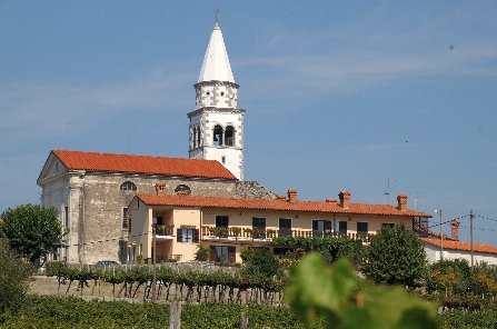 sv. Tomaža