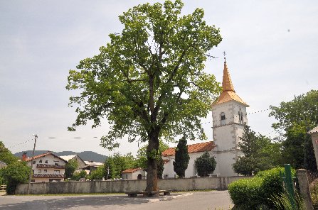 Palcje pri Pivki - sv. Nikolaj