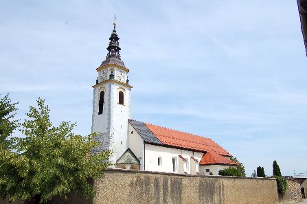 sv. Vida