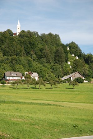 Sv. Križ, Šentvid