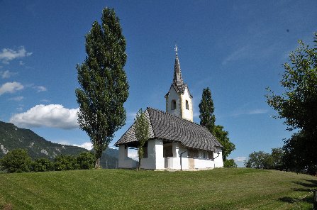 Vrba, sv. Marko