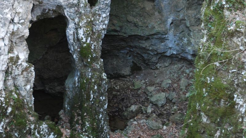 Miškotova jama