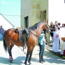 Jurijev blagoslov konj ob župnijski cerkvi