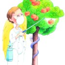 »Pošpricana« jabolka v rajskem vrtu