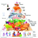 Gibanje in uravnotežena prehrana (II.)