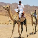 V deželi piramid in kamel