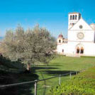 Duh Assisija med oljkami