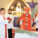 Škof Peter Štumpf je blagoslovil zelenje in oljčne vejice