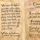 Knjiga brez tiska: rokopisna kultura na Slovenskem