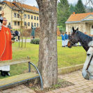 Blagoslov konjenikov in konj v Lendavi