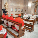 11 kardinalov »v živo«, dva po videopovezavi