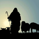 Dobri pastir da življenje za svoje ovce